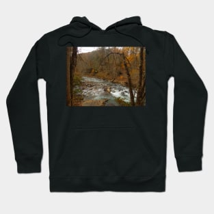 Soak Creek Tennessee Hoodie